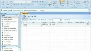 Microsoft Office Access screenshot