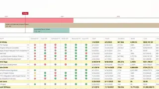 Microsoft Project Server screenshot