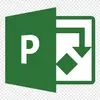 Microsoft Project Server