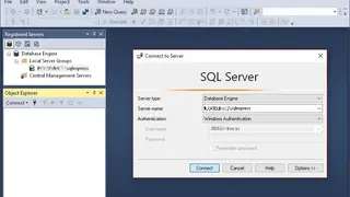 Microsoft SQL screenshot