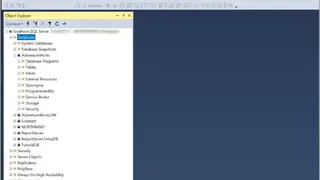Microsoft SQL Server screenshot