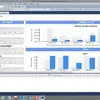 Microsoft SQL Server Reporting Services