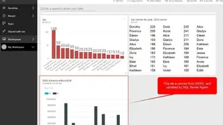 Microsoft SQL Server Reporting Services screenshot