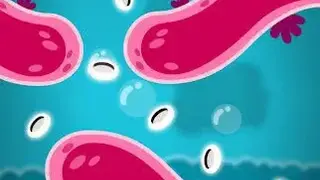 Microtrip screenshot