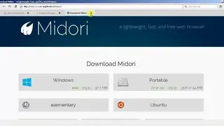 Midori screenshot