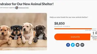 Mightycause Nonprofit Fundraising screenshot