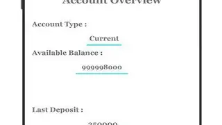 Millionaire Fake Bank Account screenshot