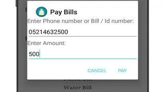 Millionaire Fake Bank Account screenshot