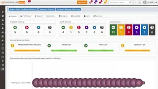 MindArray IPM screenshot