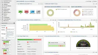 MindArray IPM screenshot