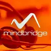 MindBridge