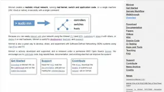 Mininet screenshot