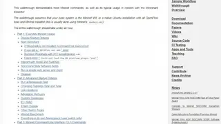 Mininet screenshot