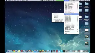 MiniUsage screenshot