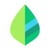 Mint Analytics