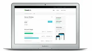 Mint Bills screenshot