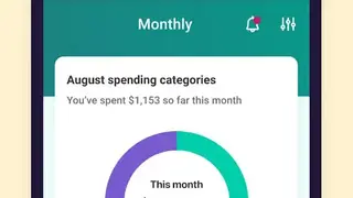 Mint Bills screenshot