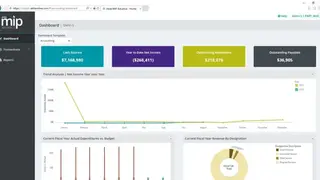 MIP Fund Accounting screenshot