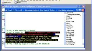 mIRC screenshot