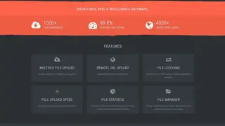 MirrorAce screenshot