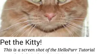 MIT AI2 Companion screenshot
