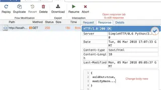 Mitmproxy screenshot