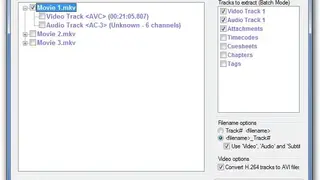 MKVCleaver screenshot