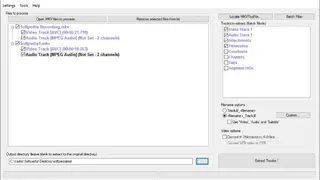 MKVCleaver screenshot