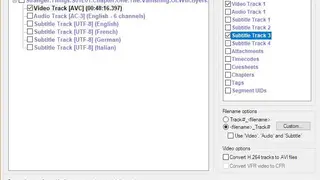 MKVCleaver screenshot
