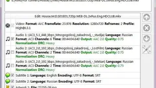 MkvToMp4 screenshot