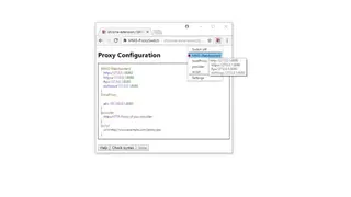 MM3 Proxy Switch screenshot