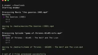 Mnamer screenshot