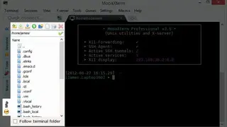 MobaXterm screenshot