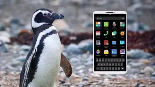 Mobian OS screenshot