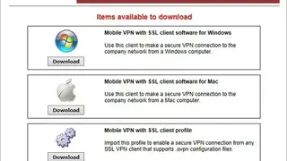 Mobile VPN with SSL screenshot