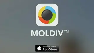 MOLDIV screenshot