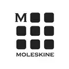 Moleskine Smart Writing Set
