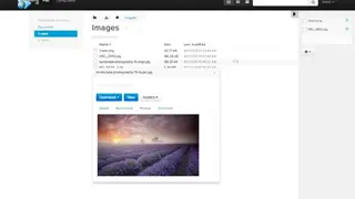 Mollify screenshot