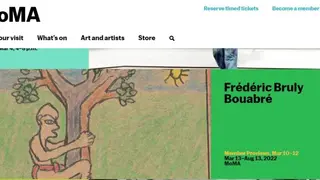 MoMA screenshot