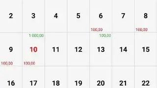 Money Calendar screenshot