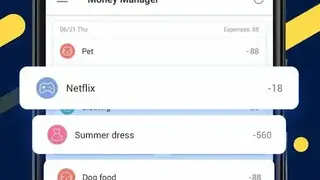 Money Manager screenshot