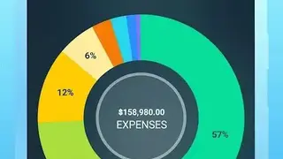 Money Pro screenshot