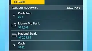 Money Pro screenshot