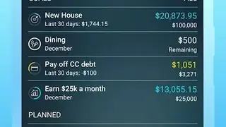 Money Pro screenshot