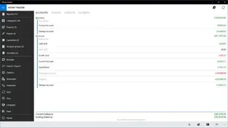 Money Tracker Pro screenshot