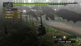Monster Hunter G screenshot