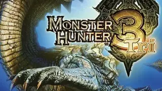Monster Hunter Tri screenshot