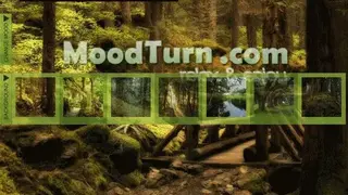 MoodTurn screenshot