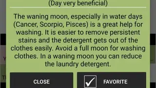 Moon Calendar screenshot