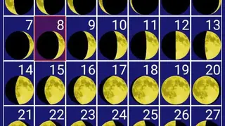 Moon Phase Checker screenshot